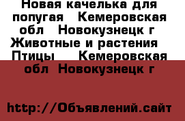 Новая качелька для попугая - Кемеровская обл., Новокузнецк г. Животные и растения » Птицы   . Кемеровская обл.,Новокузнецк г.